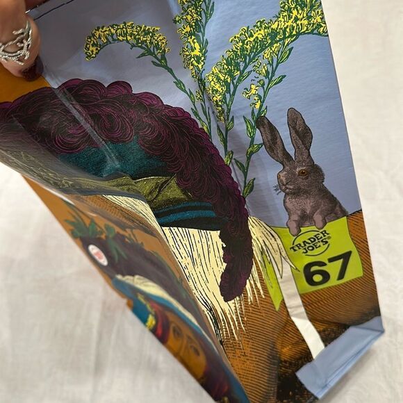 Trader Joe’s Plastic Reusable Shopping Tote Bag 6 Gallon Kentucky Collectible - Picture 5 of 11